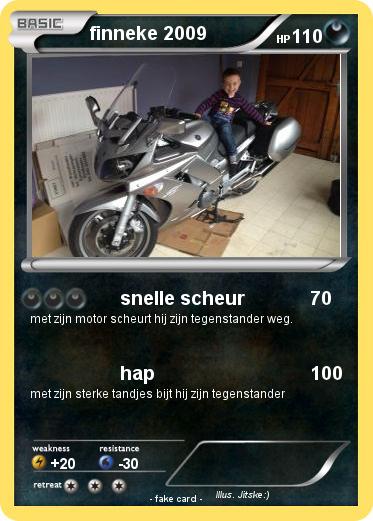 Pokemon finneke 2009