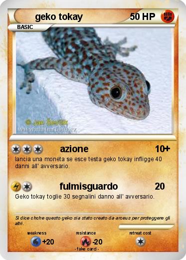 Pokemon geko tokay