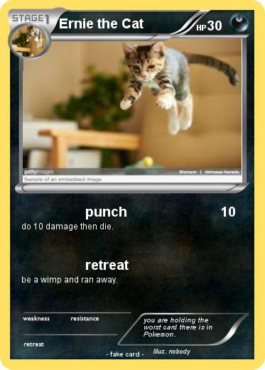 Pokemon Ernie the Cat