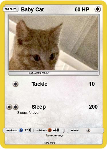 Pokemon Baby Cat
