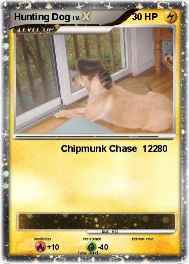 Pokemon Hunting Dog