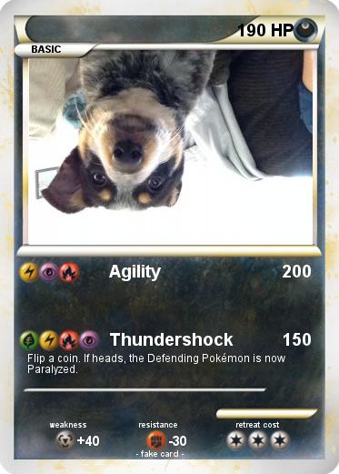 Pokemon 