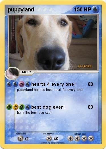 Pokemon puppyland