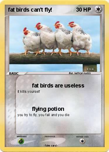 Pokemon fat birds can't fly!