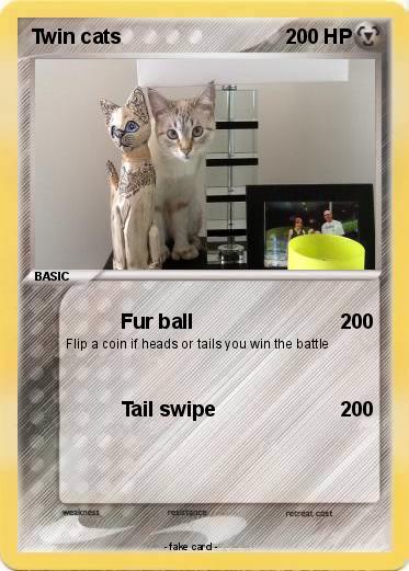 Pokemon Twin cats