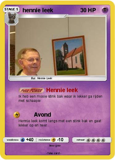 Pokemon hennie leek