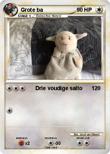 Pokemon Grote ba