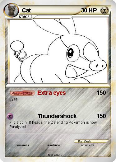 Pokemon Cat