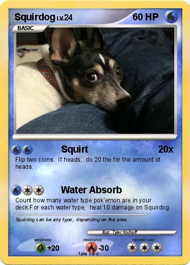Pokemon Squirdog