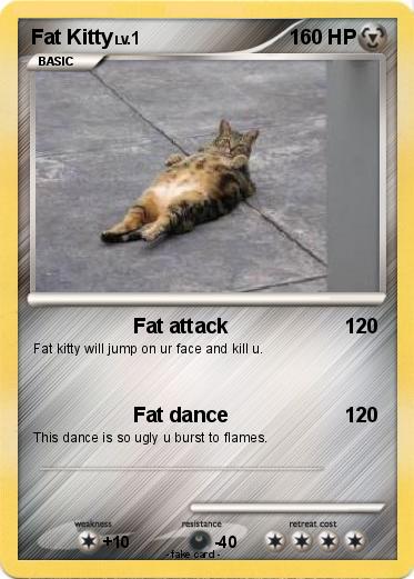 Pokemon Fat Kitty
