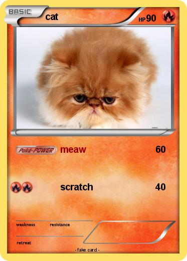 Pokemon cat