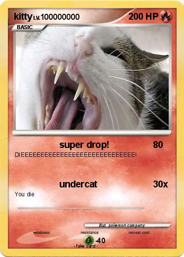 Pokemon kitty