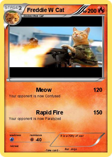 Pokemon Freddie W Cat