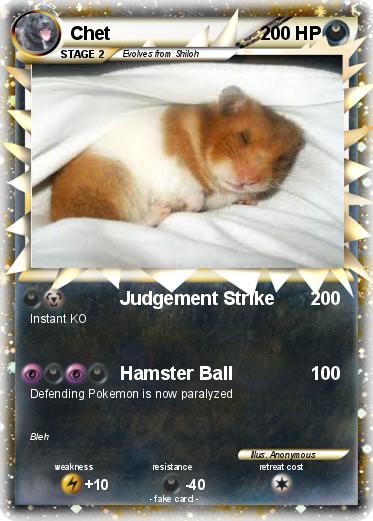Pokemon Chet