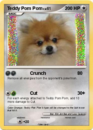 Pokemon Teddy Pom Pom