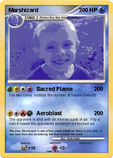 Pokemon Marshizard
