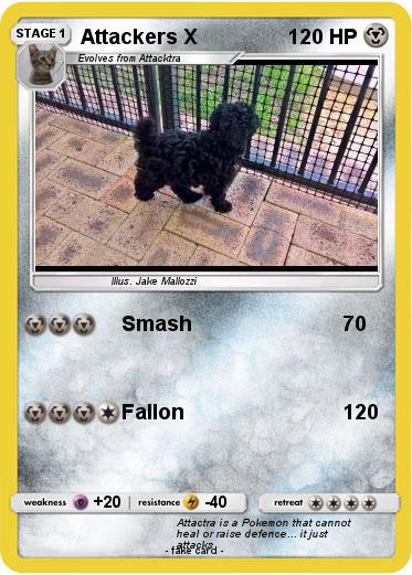 Pokemon Attackers X