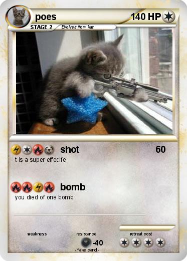 Pokemon poes