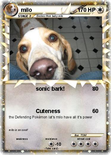 Pokemon milo