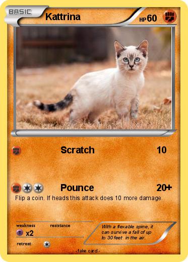 Pokemon Kattrina