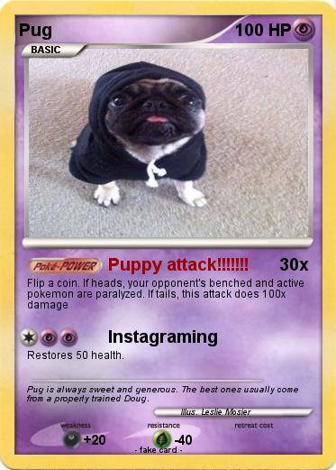 Pokemon Pug