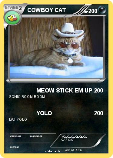 Pokemon COWBOY CAT