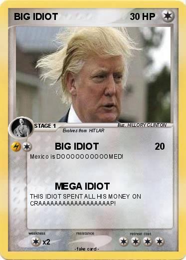 Pokemon BIG IDIOT