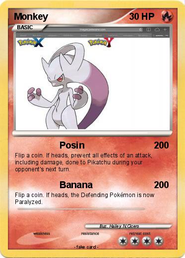Pokemon Monkey