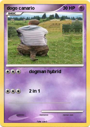 Pokemon dogo canario