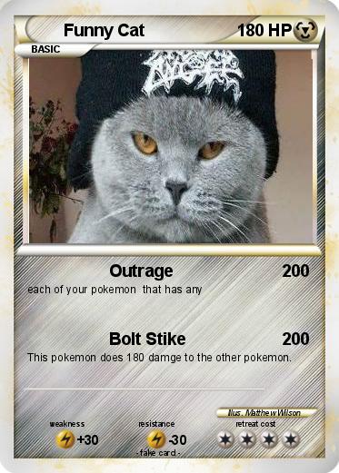 Pokemon Funny Cat