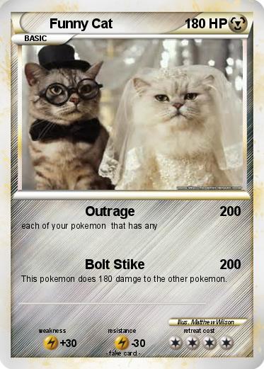Pokemon Funny Cat