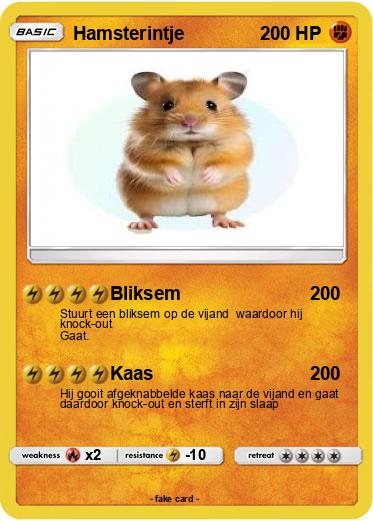 Pokemon Hamsterintje