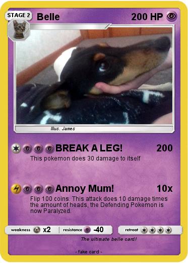Pokemon Belle