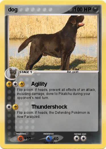 Pokemon dog