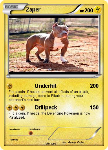 Pokemon Zaper