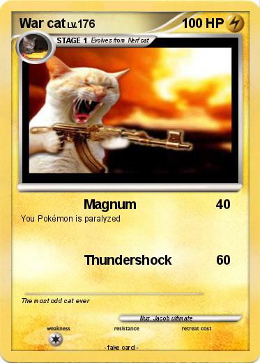 Pokemon War cat