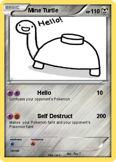 Pokemon Mine Turtle
