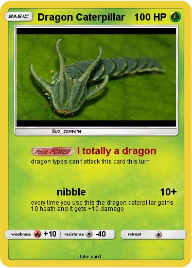 Pokemon Dragon Caterpillar
