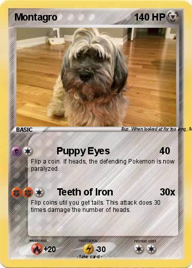 Pokemon Montagro