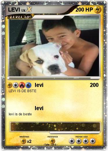 Pokemon LEVI