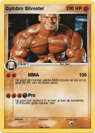 Pokemon Gymbro Silvester