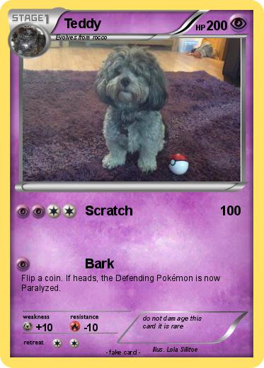 Pokemon Teddy