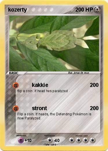 Pokemon kozerty