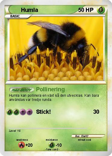 Pokemon Humla
