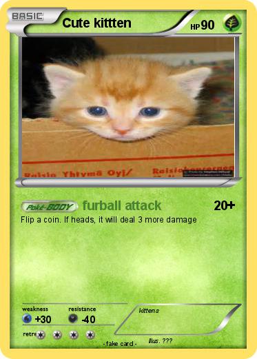 Pokemon Cute kittten