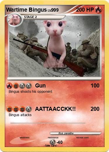 Pokemon Wartime Bingus