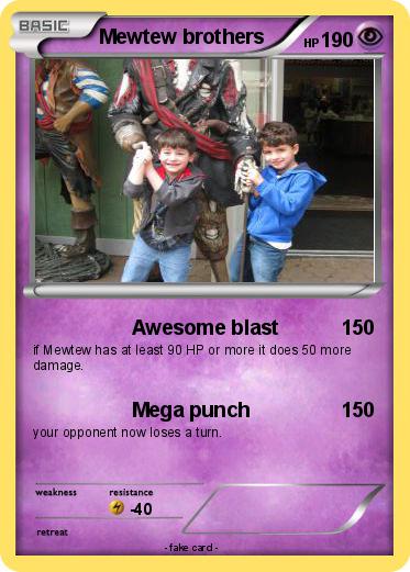 Pokemon Mewtew brothers