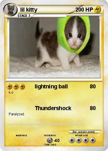 Pokemon lil kitty