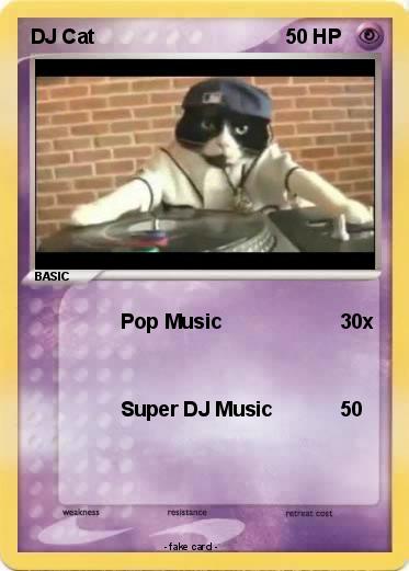Pokemon DJ Cat