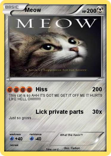 Pokemon Meow